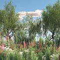 Lush Green Trees with Pink Flowers and Lush Grass Under Blue Sky and White Clouds