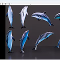 Eight Blue And Gray Dolphins In Various Poses Against Gray Background