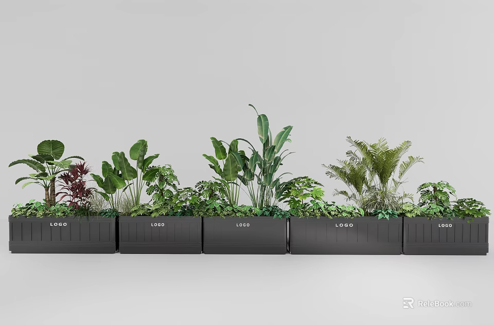 Plant Combination With Various Green Leafy Plants And Ferns In Black Rectangular Planters 3d model 
