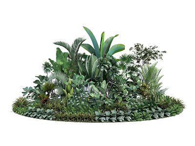Lush Tropical Green Plants With Various Leaf Shapes And Dense Foliage 3d model
