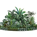 Lush Tropical Green Plants With Various Leaf Shapes And Dense Foliage