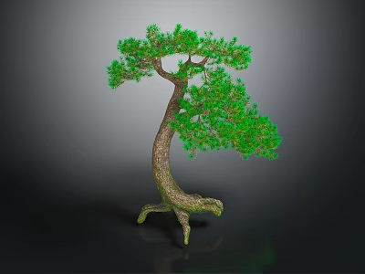 Bonsai Tree with Curved Trunk Exposed Roots and Lush Green Leaves against Dark Background 3d model