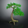 Bonsai Tree with Curved Trunk Exposed Roots and Lush Green Leaves against Dark Background
