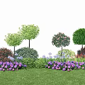 Colorful Garden Landscape With Various Flowers Bushes And Trees On Green Grass