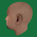 Bald Male Face With Beard And Mustache Against Green Background