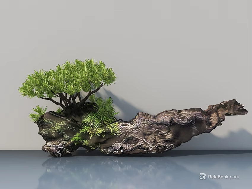 Green Pine Needle Bonsai Plant with Rock Base Moss on Smooth Surface Gray Background 3d model