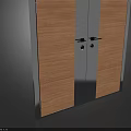 Modern Double Doors Design With Wooden Panels And Sleek Metal Frames
