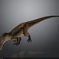 Realistic Brown Dinosaur 3D Model With Open Mouth Sharp Teeth And Long Tail