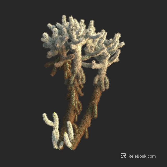 Unique Desert Cactus Plant With Multiple Branches And White Fuzzy Texture On Black Background 3d model 