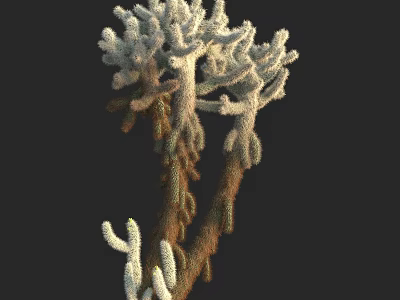 Unique Desert Cactus Plant With Multiple Branches And White Fuzzy Texture On Black Background 3d model