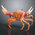 Orange Pink Crab With Large Claws Isolated On Dark Background Front View 3d model