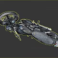 Classic Black Vintage Motorcycle With Silver Seat And Retro Exhaust Design