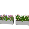 Colorful Potted Plants in Rectangular Planters with Pink Blue and White Flowers