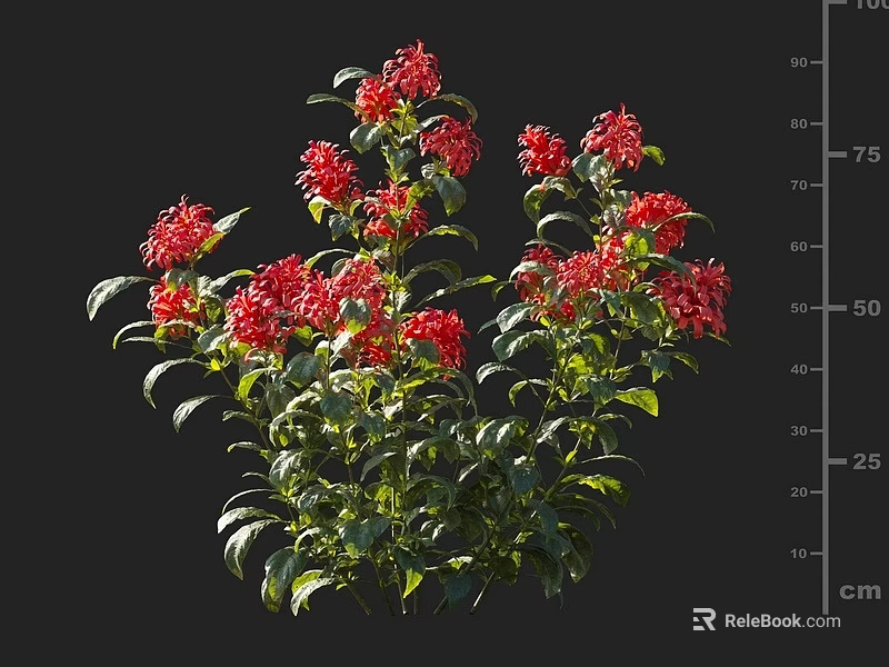 Vibrant Red Flowers With Lush Green Leaves On Fresh Healthy Plant 3d model 