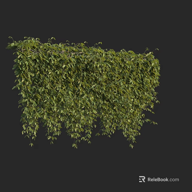 Lush Green Leafy Vines With Dense Hanging Foliage For Natural Decor 3d model 