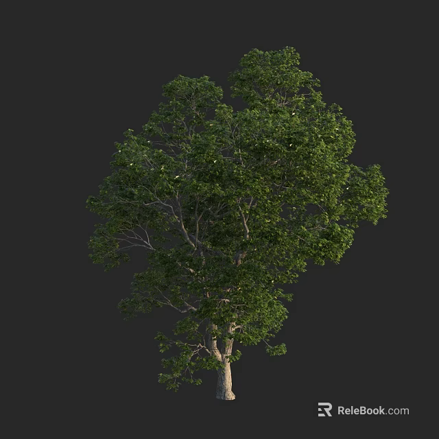 Arbor Tree With Lush Green Foliage And Healthy Trunk In Natural Setting 3d model 