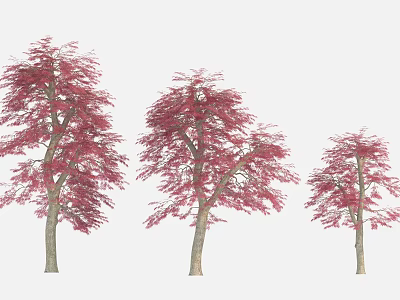 Three Trees With Straight Trunks And Umbrella Shaped Canopies Pink Leaves 3d model