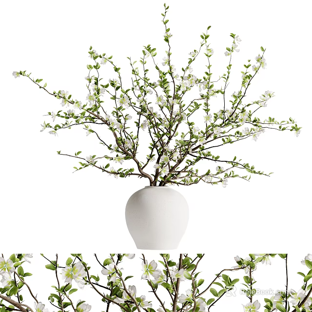White Vase With Green Branches And Small White Blossoms Decorative Plant Arrangement 3d model 