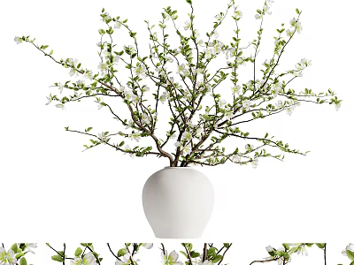 White Vase With Green Branches And Small White Blossoms Decorative Plant Arrangement 3d model