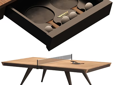 Premium Sports Equipment Table Tennis Table With Wooden Frame And Storage For Rackets And Balls 3d model