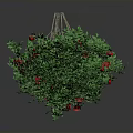 Decorative Green Round Plant With Lush Leaves And Bright Red Flowers