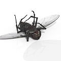 Modern other insect flies 3d model