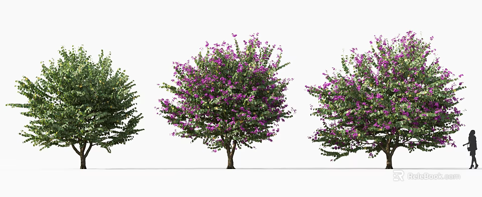 Blooming Ornamental Arbor With Vibrant Purple Flowers Lush Foliage And Varied Shapes 3d model 