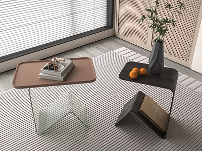 Modern Side Tables Brown Black Tops Glass Legs Books Vase Plant Oranges On Striped Rug 3d model