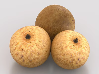 Three Ripe Longan Fruits With Fresh Brown Textured Skin And Natural Sweet Taste 3d model