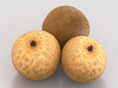 Longan fruit food 3d model