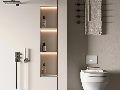 Modern Bathroom Interior Design with Shower Head LED Wall Niche Towel Rack and Toilet 3d model