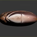 Human Abdominal Organs 3D Anatomical Model Showing Liver Stomach And Intestines