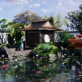 Traditional Chinese Style Pergola In Garden With Pond Lotus Flowers And Koi Fish
