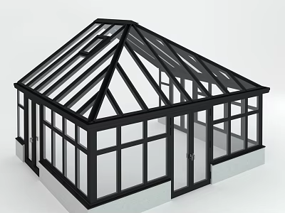 Modern Glass House Structure With Black Frame Large Glass Windows And Sloped Roof 3d model