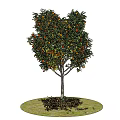 Modern Fruit Trees 3d model