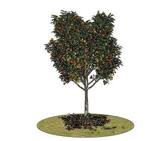 Modern Fruit Trees 3d model