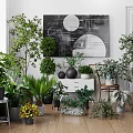 Indoor Interior with Various Potted Plants Bright Windows and Decorative Artwork 3d model