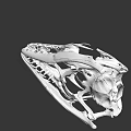 Detailed 3D Rendered Dinosaur Skull With Skeletal Structure And Sharp Teeth