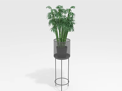 Lush Green Indoor Plant in Metal Mesh Pot on Black Metal Plant Stand 3d model