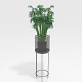 Lush Green Indoor Plant in Metal Mesh Pot on Black Metal Plant Stand