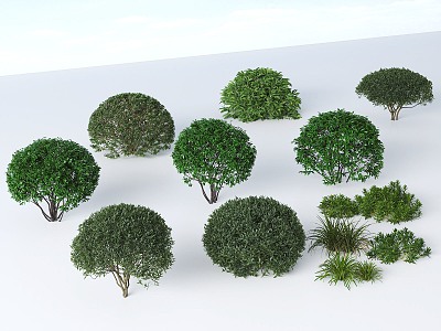 bush ball hedge model