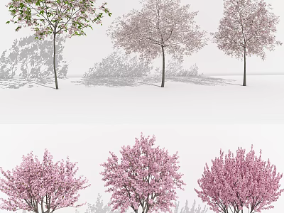 Tree Combination with Pink and Green Blossoms for Garden Landscape Design 3d model
