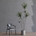 Stylish Leisure Chair With Tall Plant Against Gray Wall On Wooden Floor