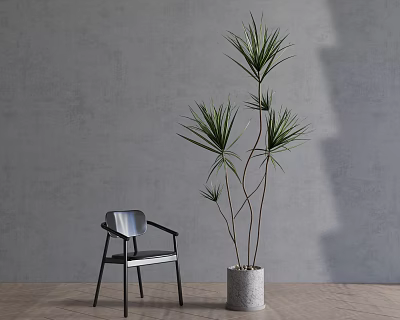 Stylish Leisure Chair With Tall Plant Against Gray Wall On Wooden Floor 3d model