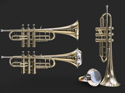 Golden Brass Trumpets Musical Instruments Display With Various Designs And Angles 3d model