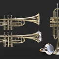 Golden Brass Trumpets Musical Instruments Display With Various Designs And Angles