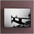 Framed Animal Painting of Flying Raven in Black and White Art Style on Brown Wall