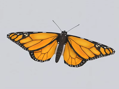 Vibrant Monarch Butterfly With Spread Orange And Black Wings And Intricate Patterns 3d model