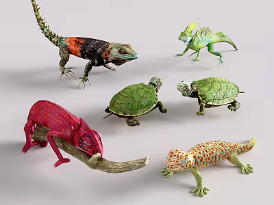 Vibrant Reptiles Collection Including Red Chameleon Green Turtles And Orange Lizards In Various Poses 3d model