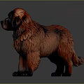 Fluffy Dog with Reddish Brown and Black Fur Blue Eyes in Standing Pose